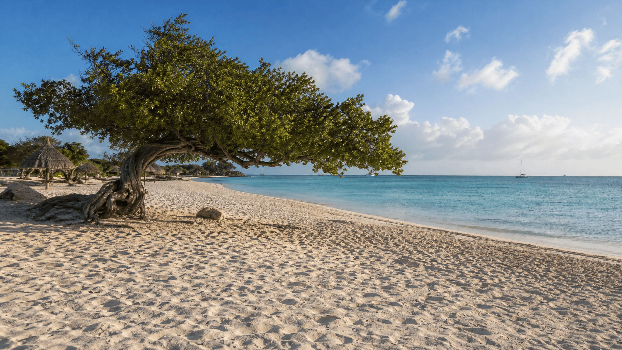 Aruba, Aruba travel hero photo