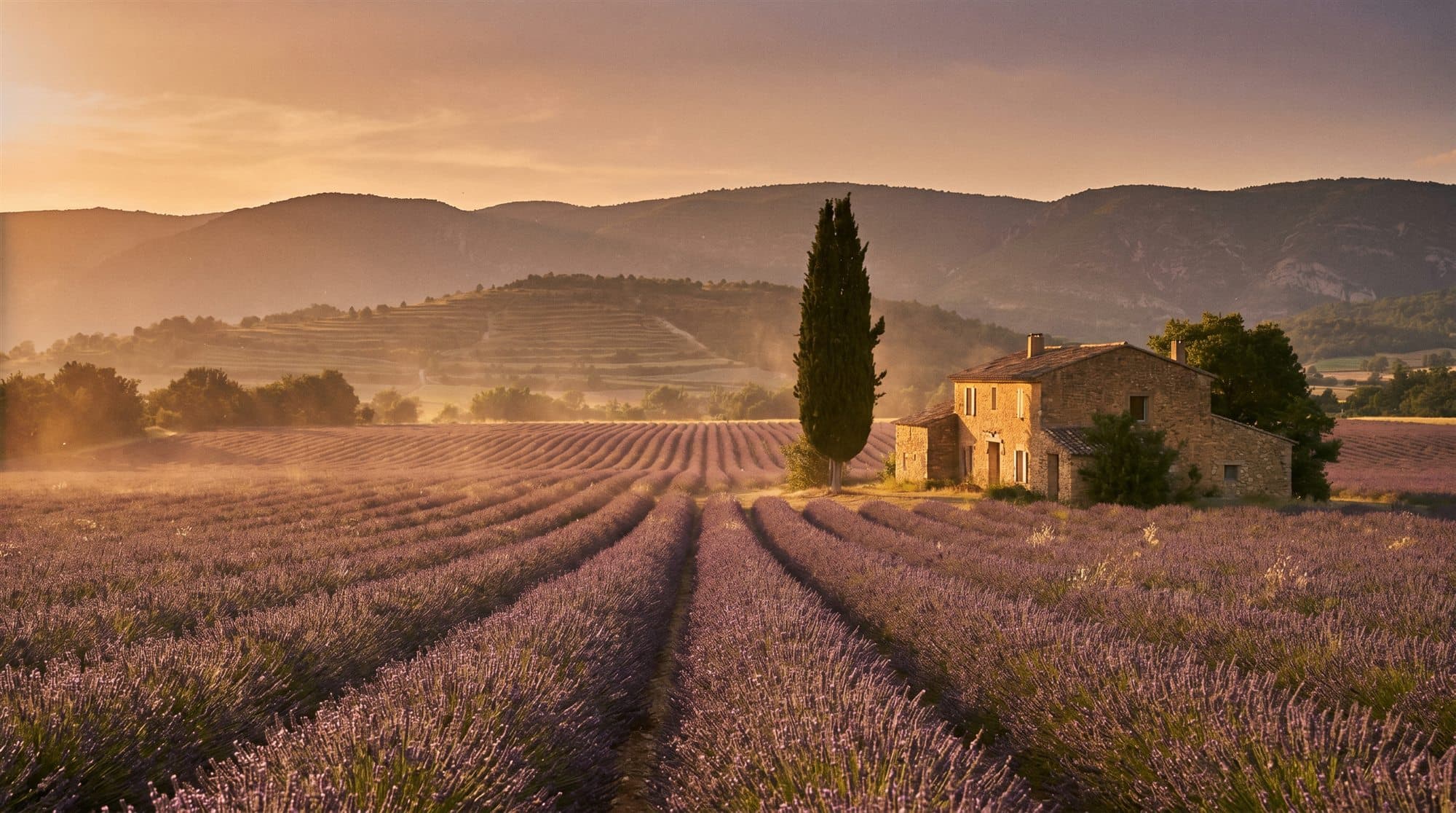 Provence, France travel hero photo